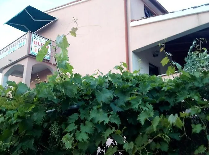 Olimp Bar Apartman4